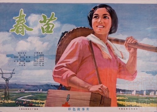 假学历证书